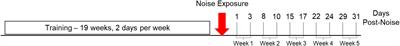 Balance beam crossing times are slower after noise exposure in rats